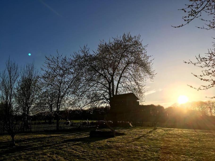 Gerestaureerde Hoeve Met Zicht Durbuy Exterior foto