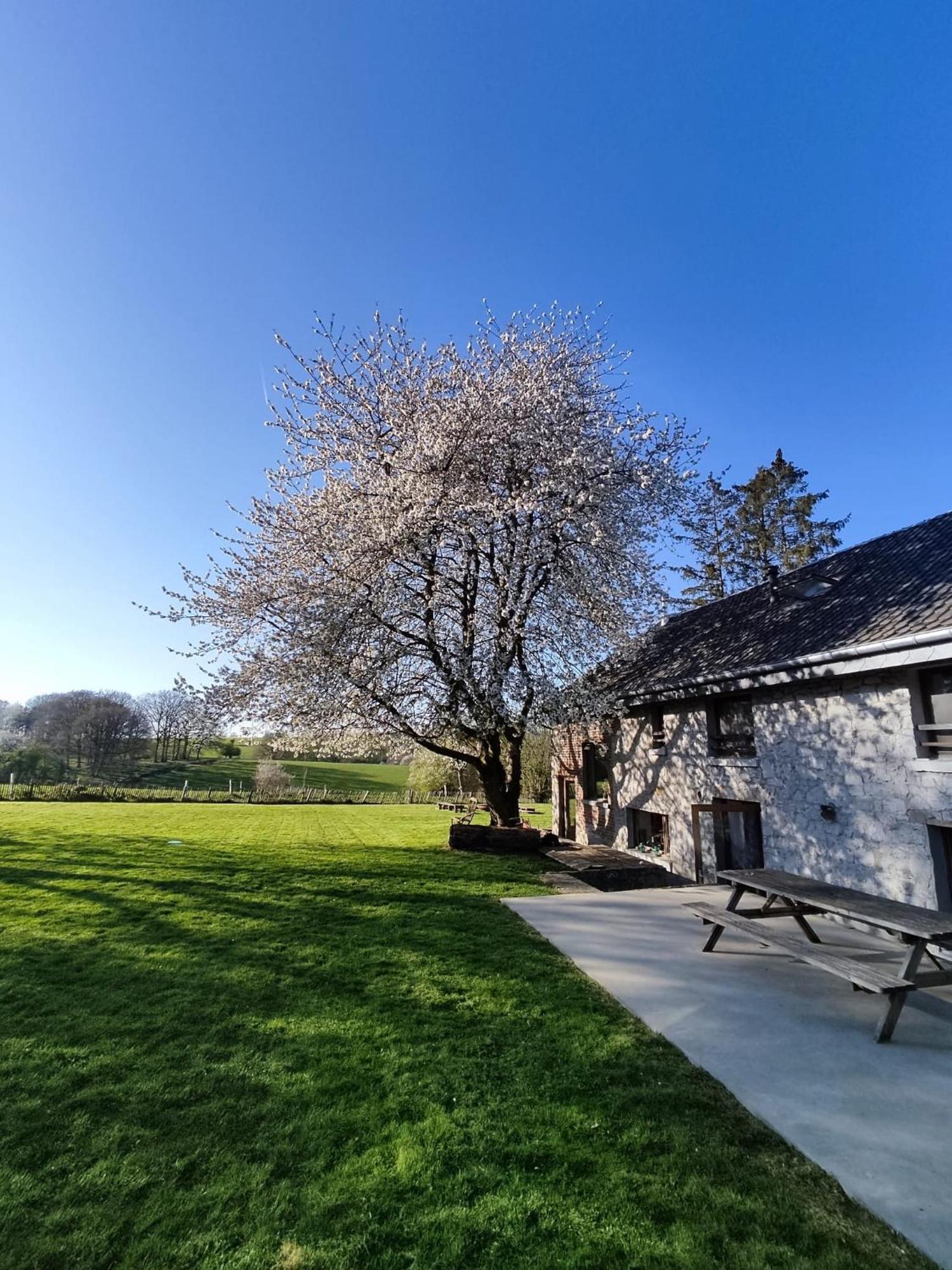 Gerestaureerde Hoeve Met Zicht Durbuy Exterior foto